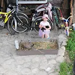 Zacisze Przy Lesie Gospodarstwo agroturystyczne Ryn (Warmian-Masurian)