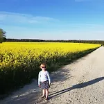 Zacisze Przy Lesie Gospodarstwo agroturystyczne *