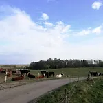 Zacisze Przy Lesie Gospodarstwo agroturystyczne Ryn (Warmian-Masurian)