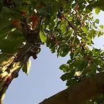 Zacisze Przy Lesie *