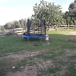 Zacisze Przy Lesie *