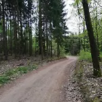 Zacisze Przy Lesie Gospodarstwo agroturystyczne Ryn (Warmian-Masurian)