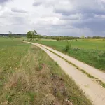 Zacisze Przy Lesie Рын