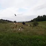 Zacisze Przy Lesie Фермерский дом Рын