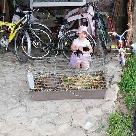 Zacisze Przy Lesie Alojamento de Turismo Rural Ryn (Warmian-Masurian)