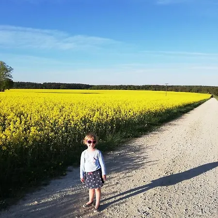 Zacisze Przy Lesie Farm stay *
