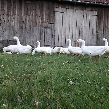 Zacisze Przy Lesie *