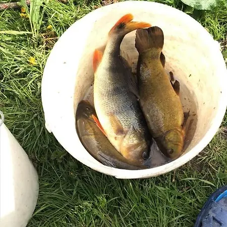 Zacisze Przy Lesie Alloggio per agriturismo