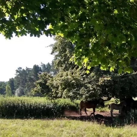 Farma Zacisze Przy Lesie *