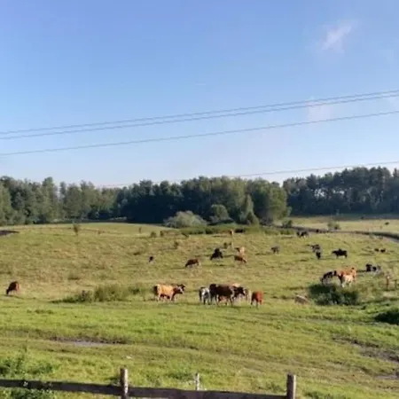 Farm stay Zacisze Przy Lesie *