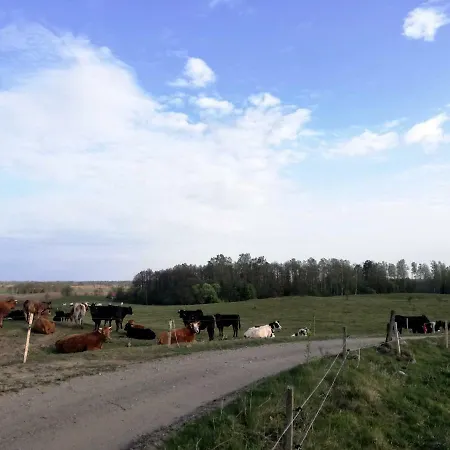 Zacisze Przy Lesie Farm stay Ryn (Warmian-Masurian)