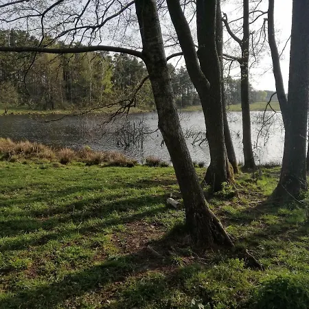 Zacisze Przy Lesie * Ryn (Warmian-Masurian)