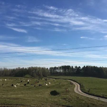 Alojamento de Turismo Rural Zacisze Przy Lesie