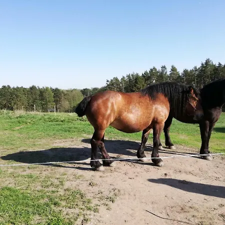 Zacisze Przy Lesie