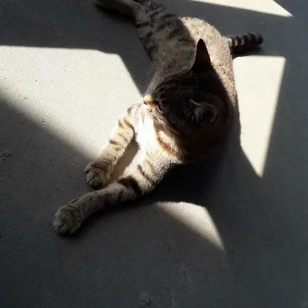 Zacisze Przy Lesie Ryn (Warmian-Masurian)