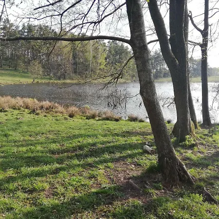 Zacisze Przy Lesie Farma *