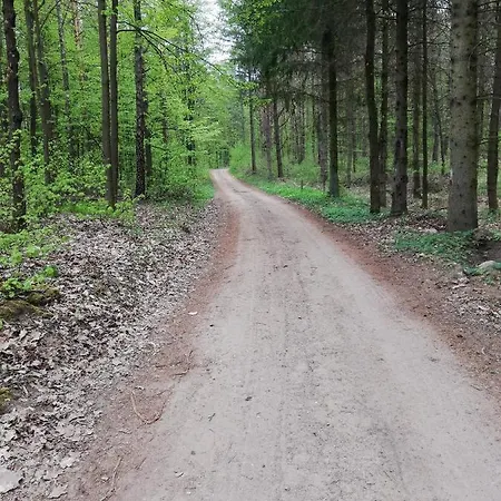 Zacisze Przy Lesie *