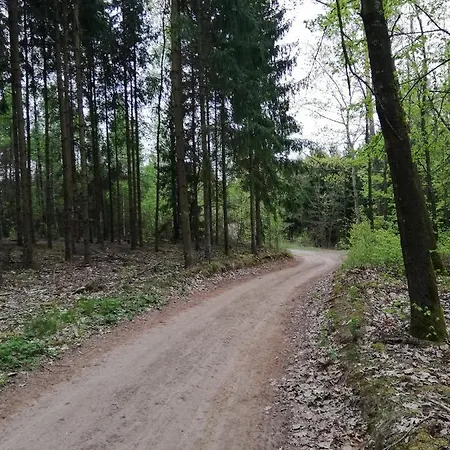 Zacisze Przy Lesie Alojamento de Turismo Rural Ryn (Warmian-Masurian)