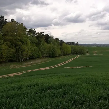 Zacisze Przy Lesie Alloggio per agriturismo