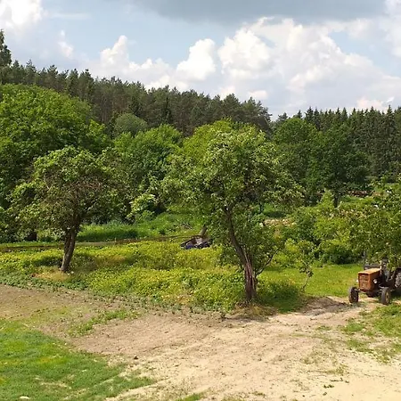 Zacisze Przy Lesie * Ryn (Warmian-Masurian)