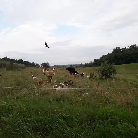 Zacisze Przy Lesie Farm stay Ryn (Warmian-Masurian)