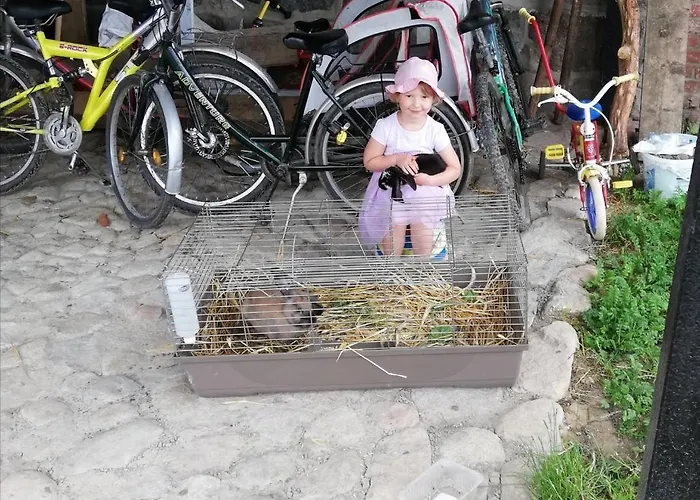 Zacisze Przy Lesie Farm stay Ryn (Warmian-Masurian)