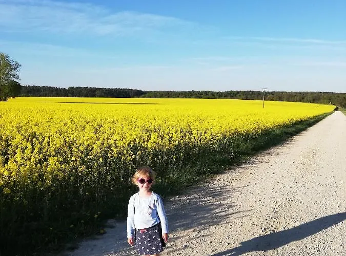 Zacisze Przy Lesie Farm stay *