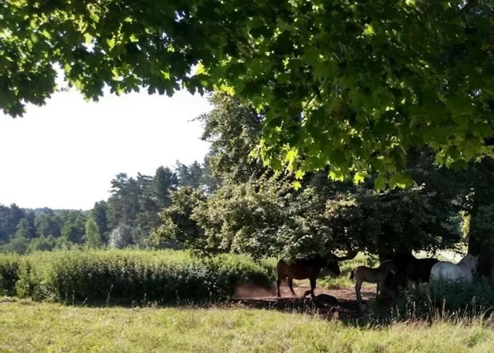 Farm stay Zacisze Przy Lesie *