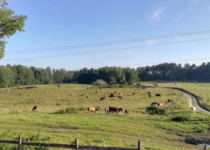 Farm stay Zacisze Przy Lesie *