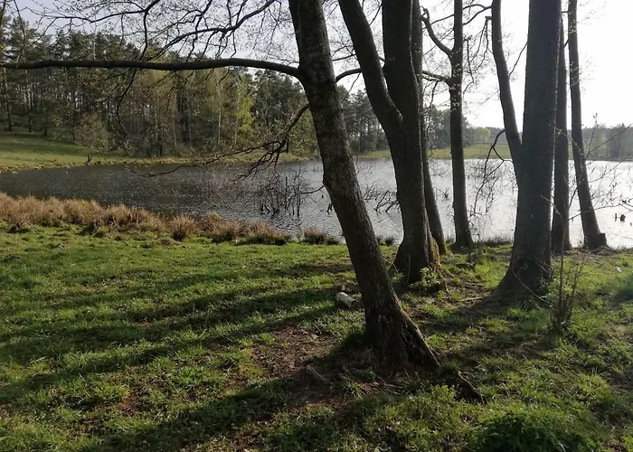 Zacisze Przy Lesie * Ryn (Warmian-Masurian)