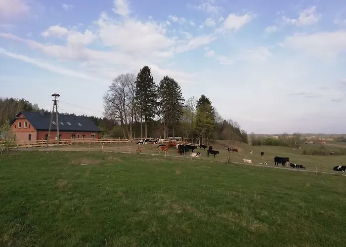 Zacisze Przy Lesie *