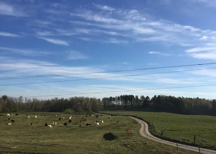 Farm stay Zacisze Przy Lesie