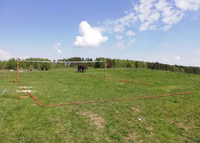 Zacisze Przy Lesie Ryn (Warmian-Masurian)