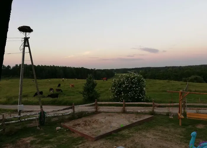 Zacisze Przy Lesie *