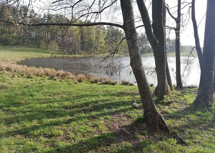 Zacisze Przy Lesie Farm stay *