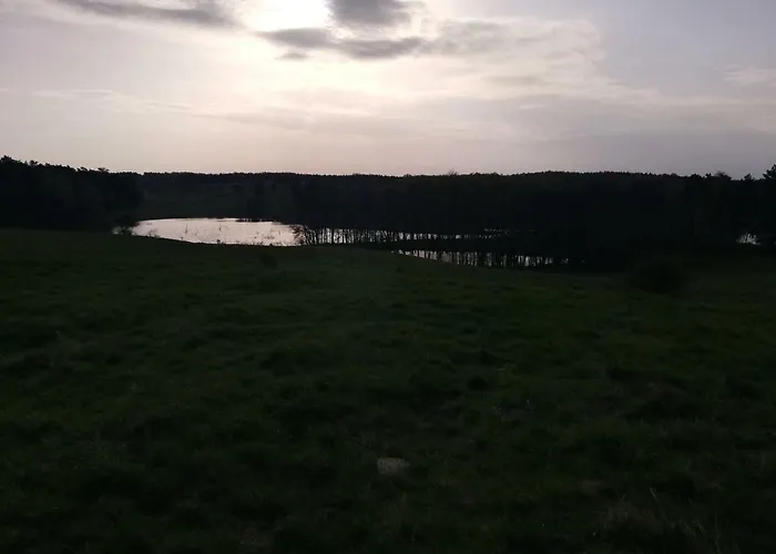 Zacisze Przy Lesie Ryn (Warmian-Masurian)