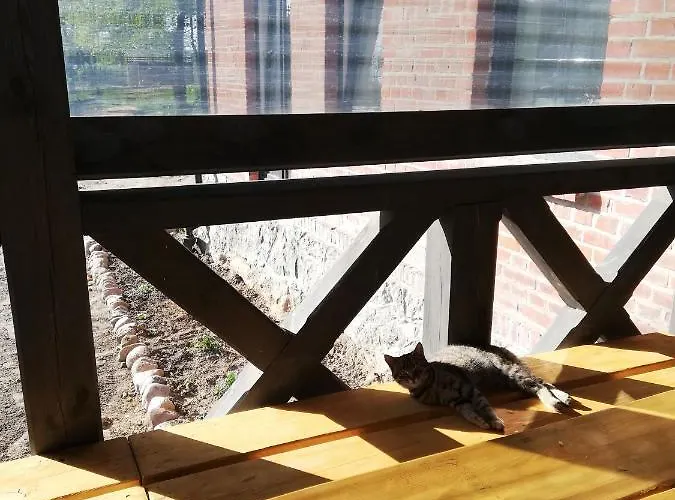 Zacisze Przy Lesie Ryn (Warmian-Masurian)