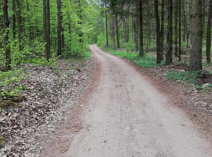 Zacisze Przy Lesie *