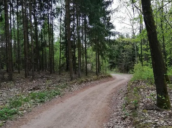 Zacisze Przy Lesie Farm stay Ryn (Warmian-Masurian)