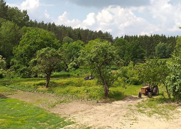 Zacisze Przy Lesie * Ryn (Warmian-Masurian)